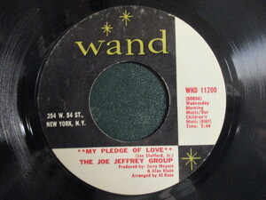 The Joe Jeffrey Group ： My Pledge Of Love 7'' / 45s (( Soul )) c/w Margie (( 落札5点で送料無料