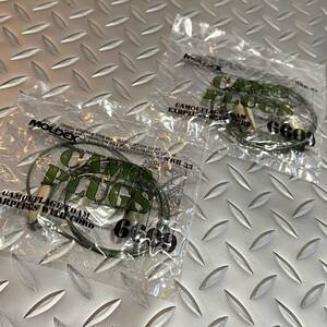 米軍放出品　沖縄　MOLDEX CAMO PLUGS 6609 コレクション (INV Y75)