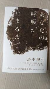 書籍/日本小説　島本理生 / あなたの呼吸が止まるまで　2007年発行　新潮社　中古