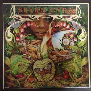 US盤　Spyro Gyra - Morning Dance LP 79年作　