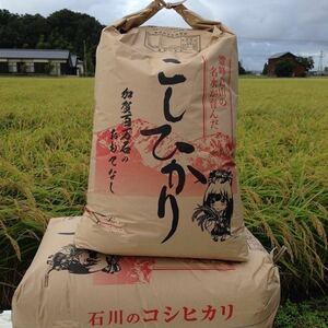 加賀百万石コシヒカリ玄米2４kg　令和4年産有機肥料散布　無料精米　