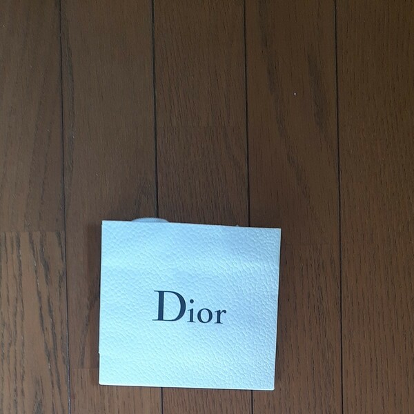 Dior 紙袋小