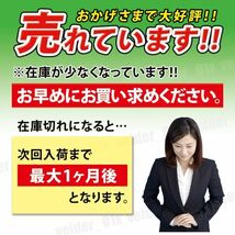 水中 ポンプ 12V ワニクリップ クランプ スイッチ付 小型 給水 排水 海水 水槽 電動 汚水 散水 排水 釣り 静音 キャンプ シャワー BTK327_画像10