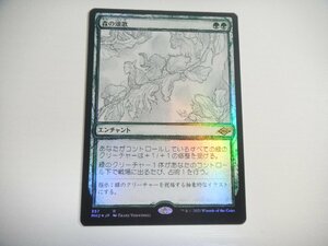 C23【MTG】森の頌歌 スケッチ Foil 即決