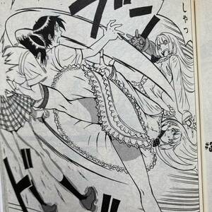 女子格闘 漫画 キャットファイト female fight catfight