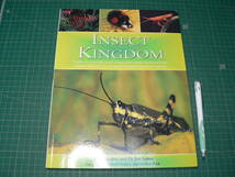 洋書 昆虫/Insect Kingdom/昆虫の王国/John Farndon/英語 英文_画像1