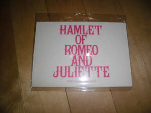 演劇パンフレット//ロミオとジュリエットのハムレット//HAMLET OF ROMEO AND JULIETTE//佐藤永典/堀越のり/中村龍介/岩﨑大/皆本麻帆