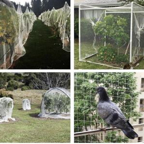 防鳥ネット ベランダ鳥よけネット 幅4m×長さ10m カラス 鳩対策防鳥網 果樹守りや野菜栽培や防獣ネット 透明色 （結束バンド 付き）