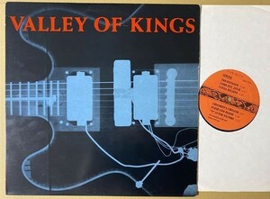 試聴 甘サイケ 疾走 ギターポップ Valley Of Kings Victory Garden LP インディーポップ パワーポップ ネオアコ STERLING 刻印 Sloan