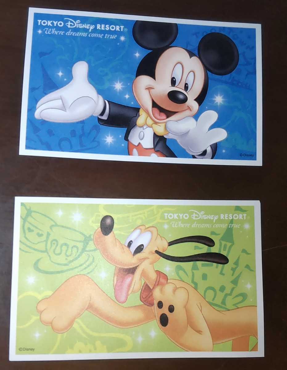 東京ディズニーリゾート パスポート2枚 ディズニーランドもしくはディズニーシー 期限2023年9月30日 送料込み