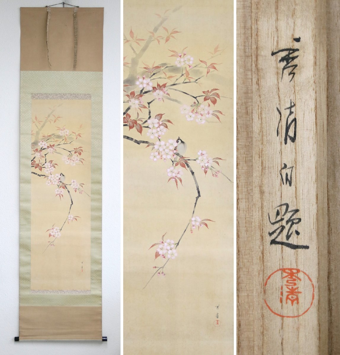 人気ショップ 掛け軸 美品 掛け軸 塩田祥恒 塩田祥恒 枝垂桜 掛軸