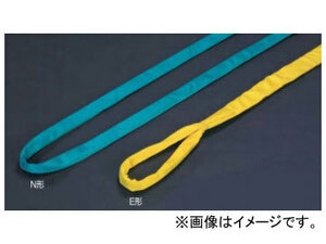 田村総業/TAMURA ベルトスリング SSタイプ ラウンドスリング 両端アイ形（E形） SE-3.0t×1.0m