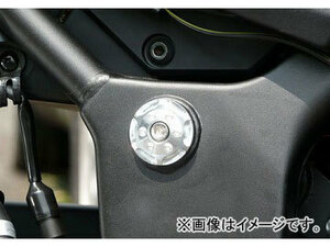 2輪 アグラス ピボットキャップ 品番：P040-9616 ブルー カワサキ ニンジャ250R JAN：4548664105946