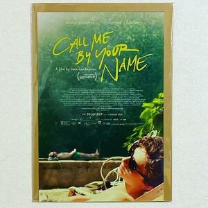 布 ポスター「君の名前で僕を呼んで　ティモシー・シャラメ　サングラス　緑」