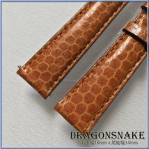 SALE！１点物 別注 １８mm 本革 ドラゴンスネイク サイケデリック ヘビ革 時計ベルト ITALIAN GOLD BUCKLE LIGHT BROWN 幸運_画像2