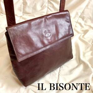 IL BISONTE イルビゾンテ ヴィンテージ ショルダーバッグ オールレザー