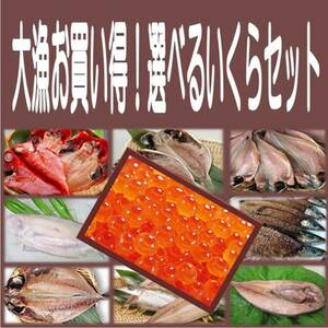 8《送料無料》いくら500g＋選べる干物３品セット 金目鯛 沼津産鯵 ホッケ カマス えぼ鯛 大サバ 対馬鯵 秋刀魚 平サバ 鰯より選択