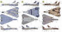 1/48　Hi Decal ハイデカール　HD48021 　Grumman F-14A Tomcats_画像5