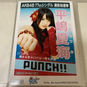 AKB48 平嶋夏海 ポニーテールとシュシュ 劇場盤 生写真 選抜総選挙 選挙ポスター ポニシュ