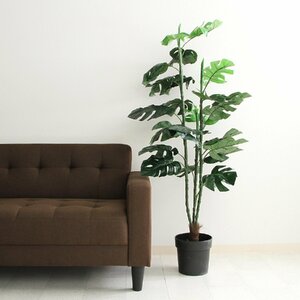 フェイクグリーン 観葉植物 スプリット 高さ約150ｃｍ【新品】【送料無料】(北海道 沖縄 離島は別途送料)