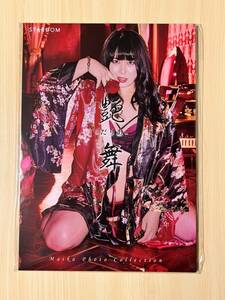  Star dam Professional Wrestling Mai . gloss Mai ... photoalbum complete new goods unused unopened goods 