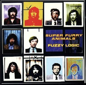 Fuzzy Logic スーパー・ファーリー・アニマルズ 輸入盤CD