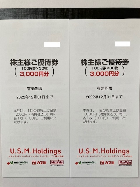 人気激安 ユナイテッドスーパーマーケット USMH 株主優待券 16,000円分