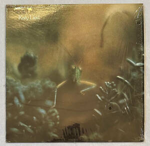 ■1980年 US盤 STEELY DAN - Katy Lied 12”LP MCA-1594 MCA Records