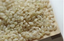 滋賀県キヌヒカリ5kg (1袋)× 5【袋販売】_画像8