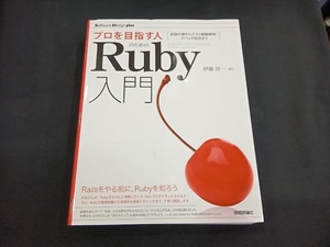 プロを目指す人のためのRuby入門 伊藤淳一