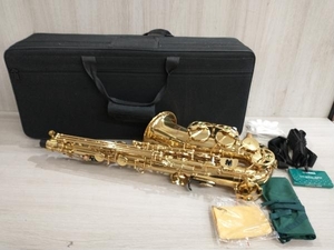 DeYu A500 wind instruments 