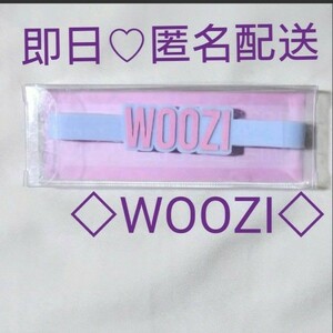 セブチ ケレン ペンライト アクセサリー WOOZI ウジ 新品未開封 匿名配送