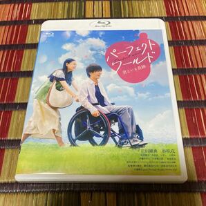 パーフェクトワールド　君といる奇跡 Blu-ray