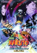 劇場版 NARUTO大活劇 ! 雪姫忍法帖だってばよ !! レンタル落ち 中古 DVD