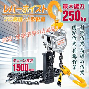 【送料無料】最新仕様　頑丈0.25t ホイストガッチャチェーン レバーホイスト/レバーブロック 外れ防止機能付き　