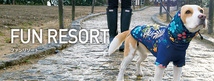 【CT4-3】送料無料 ACTIVEWAN 雨でも風でも安心ウエア 小型犬用 ファンリゾート M サイズ_画像3