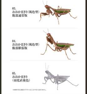 バンダイ かまきり01 3種類 新品 リアルフィギュア 大きいフィギュア オオカマキリ 昆虫 大人ガチャ カプセルレス ガシャポン