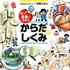 めくって発見！えほん　からだのしくみ／坂井建雄(著者),松島浩一郎,加藤のりこ