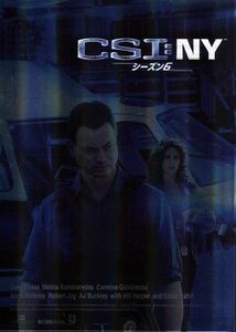 ＣＳＩ：ＮＹ　シーズン６　コンプリートＤＶＤ　ＢＯＸ－II／ゲイリー・シニーズ,メリーナ・カナカレデス