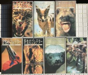 [7 pcs set ]. raw. Predator VHS 7 pcs set Japanese dubbed version documentary . raw living thing . raw animal Predator videotape 