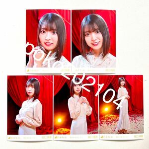 ◎乃木坂46 公式グッズ 生写真 5枚　コンプ　阪口珠美　僕が手を叩く方へ　MV (好きというのはロックだぜ！ )5種　ヨリチュウヒキ