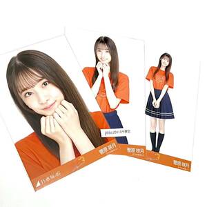 ◎乃木坂46 公式グッズ 生写真 3枚コンプ 菅原咲月　ヨリチュウヒキ 樋口日奈 卒業セレモニーTシャツ コンプ 会場限定　レア　卒コンT