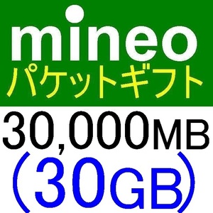 mineoパケットギフト30000MB(30GB)【マイネオパケットギフト、クーポン利用、PayPayポイント消化、PayPayポイント消費、スマホ】