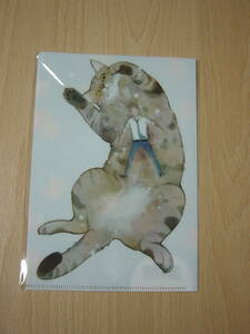 A5 clear file .-.- cat 