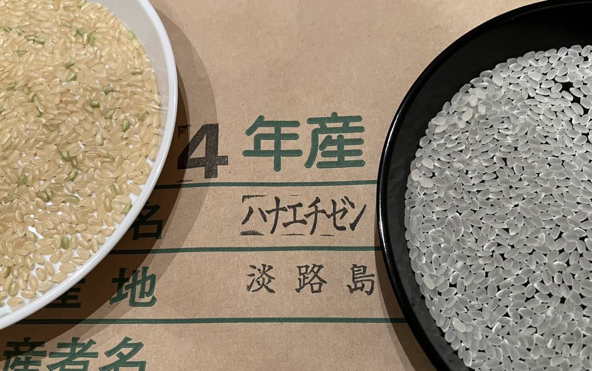 新米 令和4年 産 キヌヒカリ 玄米30キロ 淡路島 精米小分け可 30kg
