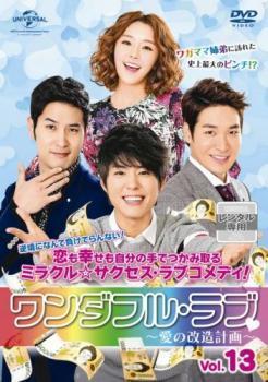 ワンダフル・ラブ 愛の改造計画 全24枚 第1話~第48話 最終【字幕