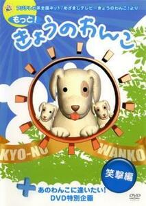 もっと!きょうのわんこ 笑撃編 レンタル落ち 中古 DVD テレビドラマ