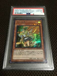 遊戯王 PSA10 現存57枚 憑依装着－ウィン シークレット イラスト違い 絵違い