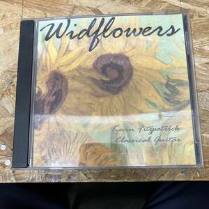 奥棚● ROCK,POPS WILDFLOWERS アルバム,INDIE CD 中古品