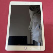 美品　iPad Pro 9.7インチ　Wi-Fi 128GB ゴールド　_画像1